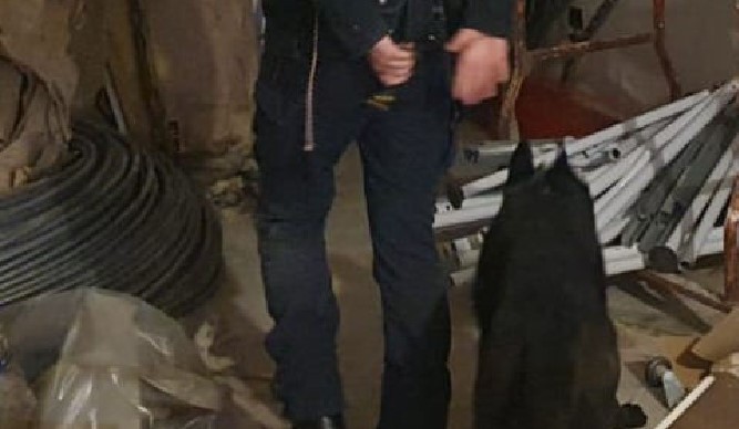 Arrestati A Pescara Due Coniug
