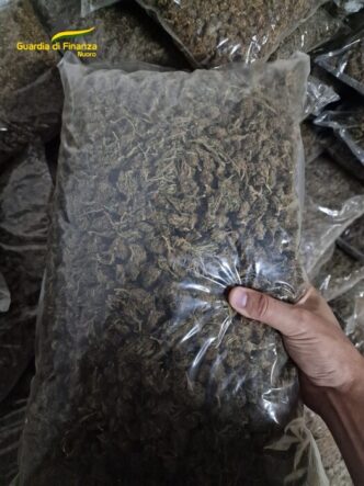 Arrestato Imprenditore Agricol
