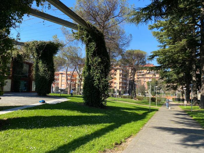 Arresti A Avellino3A Cinque Gio