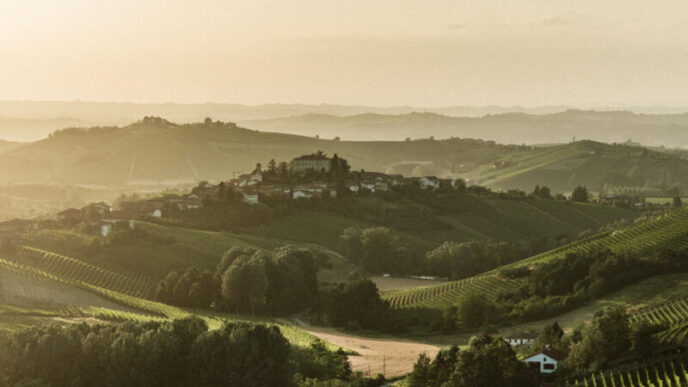 Asti Spumante E Moscato D27Asti
