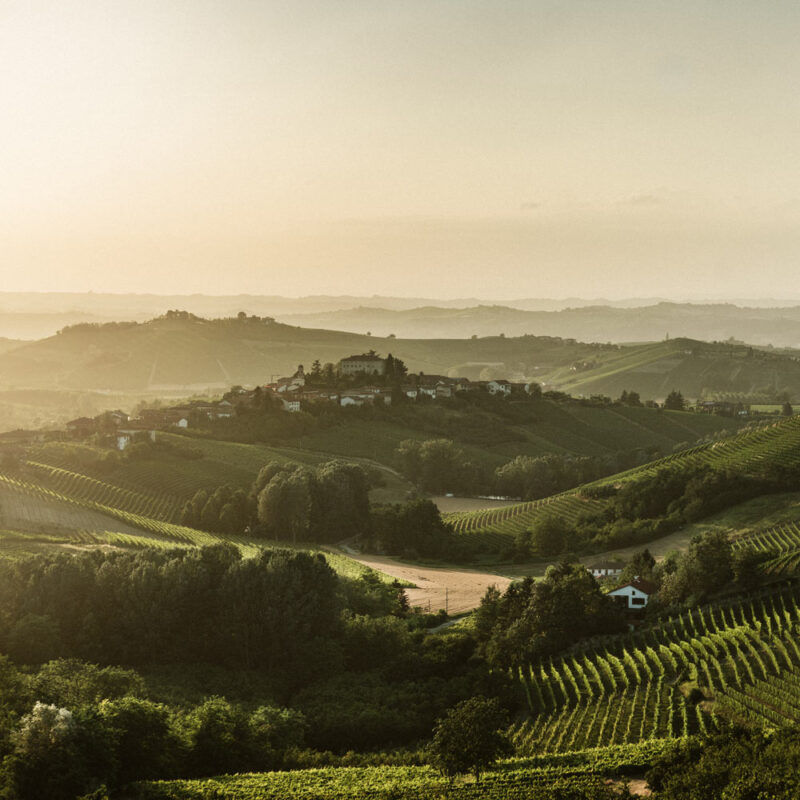 Asti Spumante E Moscato D27Asti