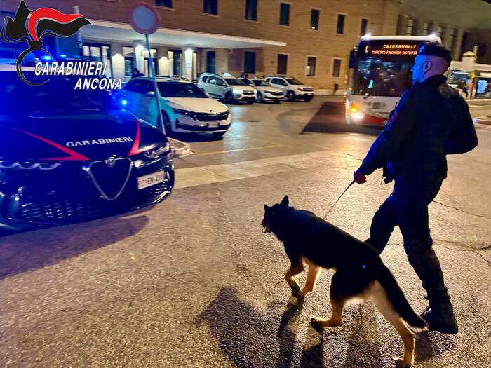 Blitz Dei Carabinieri Ad Ancon