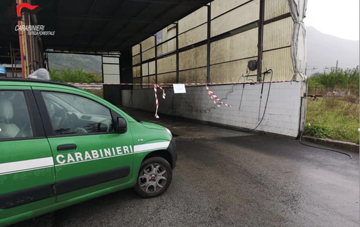Carabinieri Denunciano Titolar