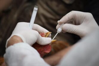 Caso Di Influenza Aviaria A Va