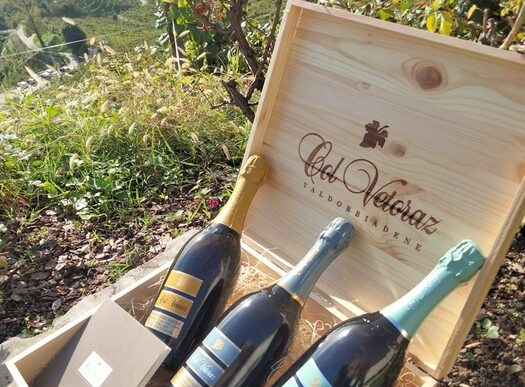 Col Vetoraz Presenta Le Nuove