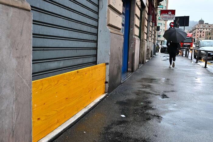 Commerciante A Genova Sfrutta