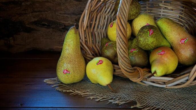 Concorso A Premi Per Le Pere O