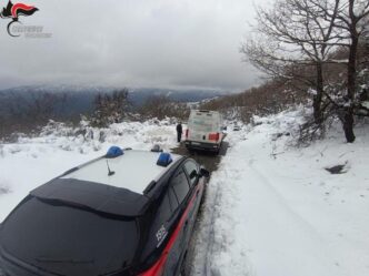 Conducente Di Furgone Bloccato