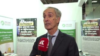Consapevolezza Sull27Olio Di Pa