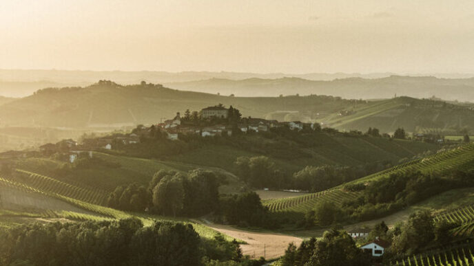 Consorzio Asti Docg3A Produzion