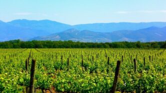 Credito A Tasso Zero Per Agric