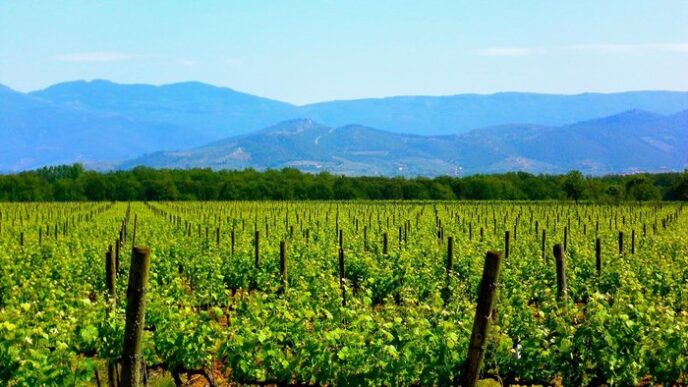 Credito A Tasso Zero Per Agric