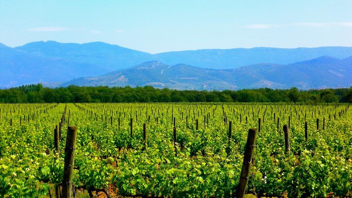 Credito A Tasso Zero Per Agric