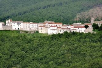 Cresce La Popolazione Di Celle