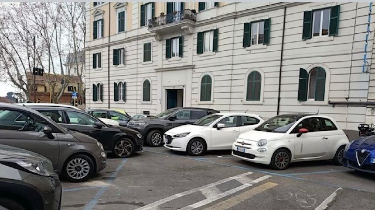 Critiche Alle Ciclabili Romane