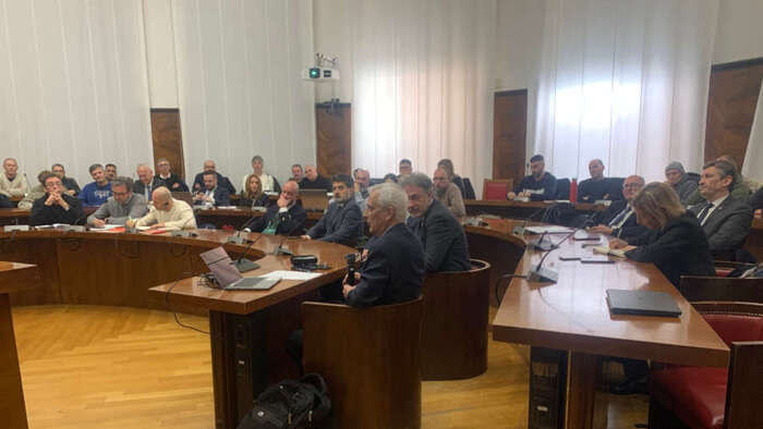 Dana2C Delocalizzazione In Vist