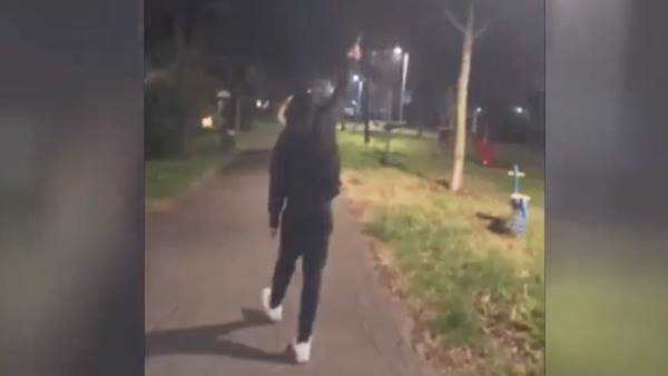 Denunciato Giovane Per Spari I