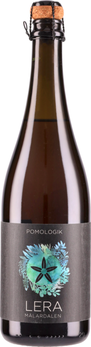 Dry January3A Una Celebrazione