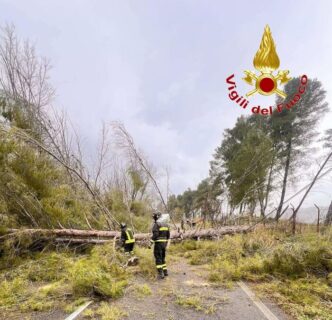 Emergenza Vento A Vibo Valenti