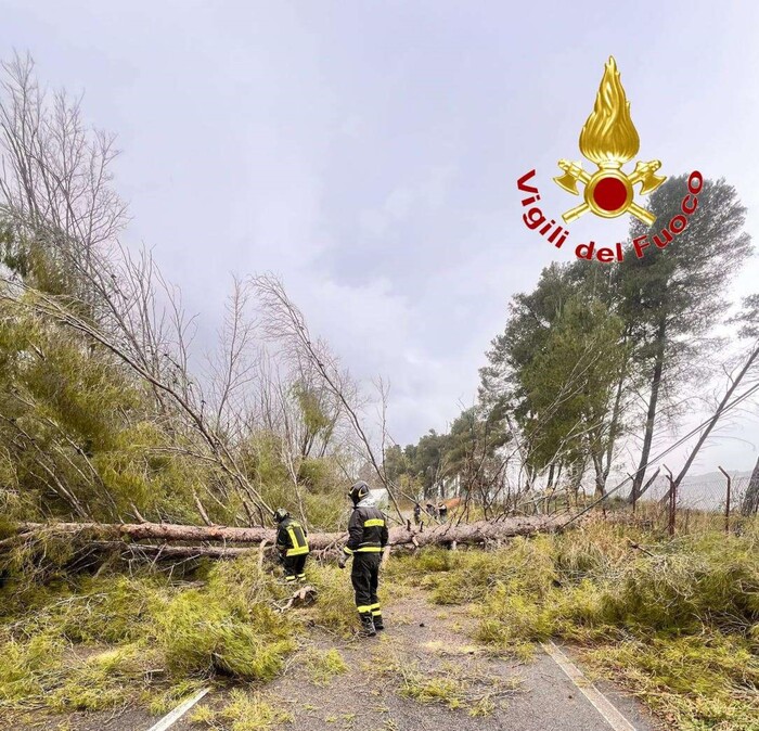 Emergenza Vento A Vibo Valenti