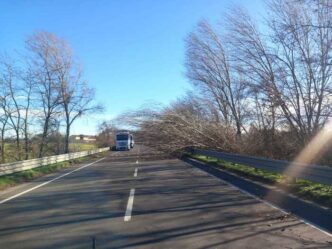 Emergenza Vento In Emilia Roma