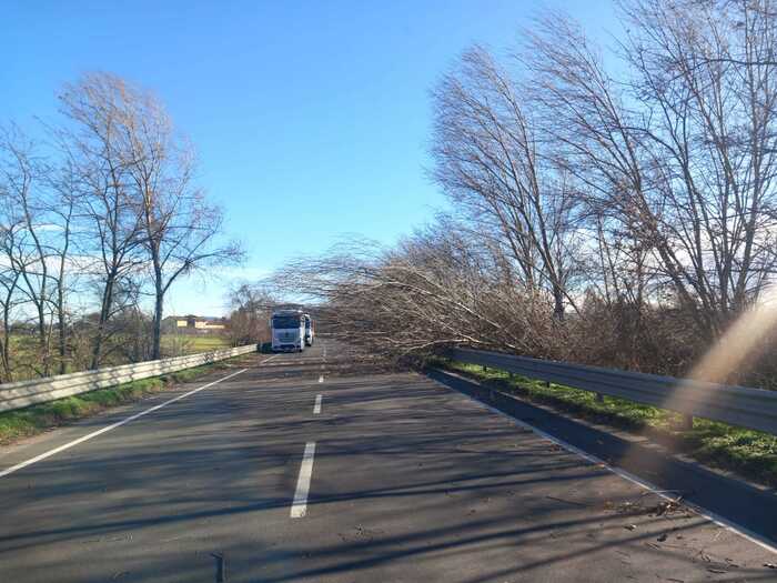 Emergenza Vento In Emilia Roma