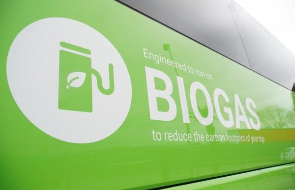 Flixbus Presenta Le Prime Line