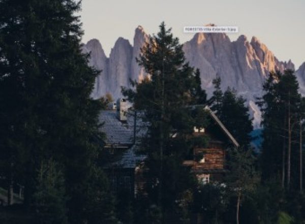 Forestis Amplia L27Offerta Con