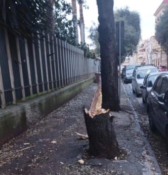 Forte Vento Provoca Danni E Pa