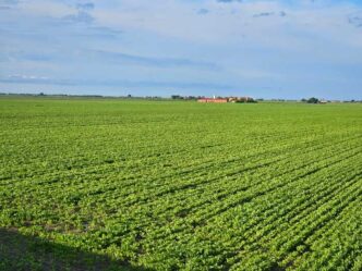 Gli Agricoltori Veneti Riparto