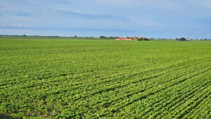 Gli Agricoltori Veneti Riparto