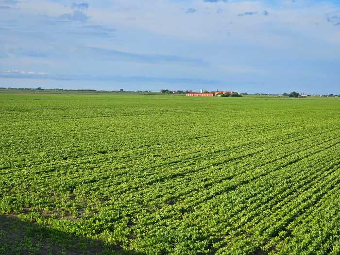 Gli Agricoltori Veneti Riparto