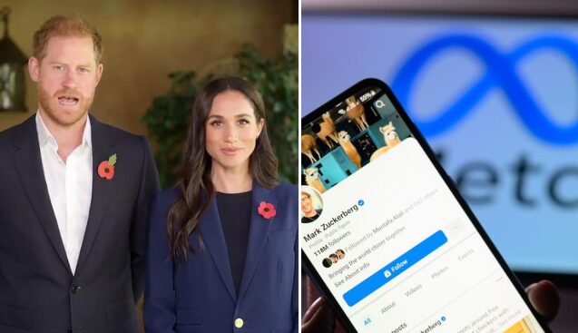 Harry E Meghan Markle Critican