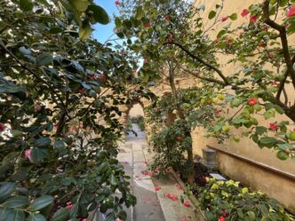 Il Giardino Delle Camelie Di B
