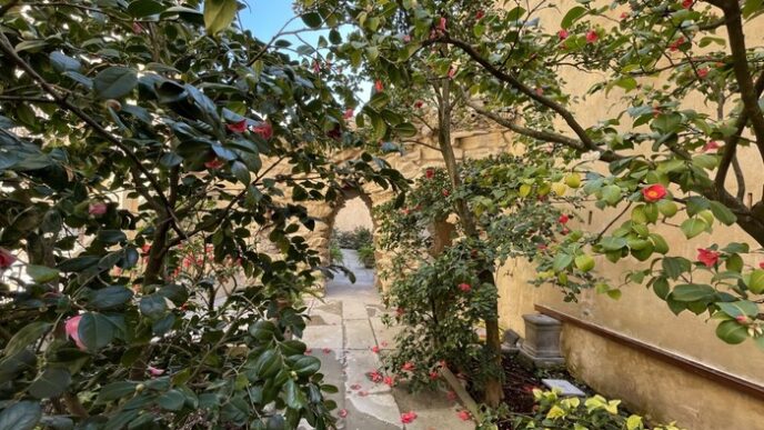 Il Giardino Delle Camelie Di B