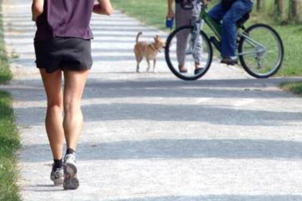 Il Grasso Bruno3A Nuove Scopert