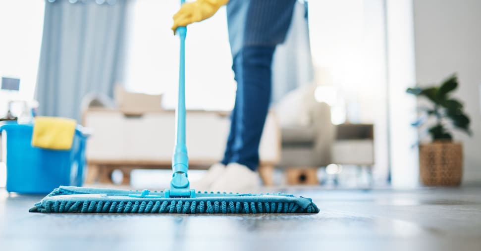 Il Lavoro Domestico In Italia3A
