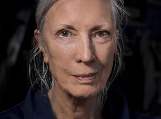Il Leone D27Oro Della Biennale