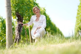 Il Vino Picolit Myc3B2 Docg3A Il R