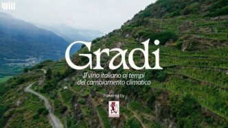 Il Vino Italiano Come Barometr