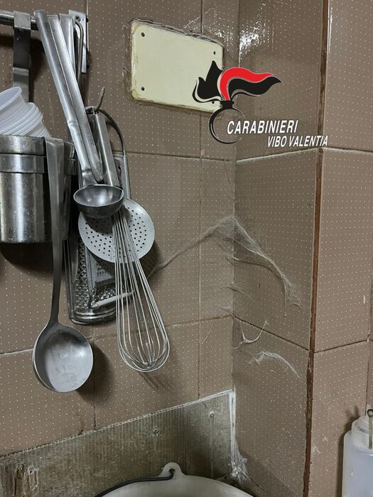 Imprenditore Denunciato Per Vi