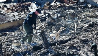 Incendi Devastanti In Californ 1