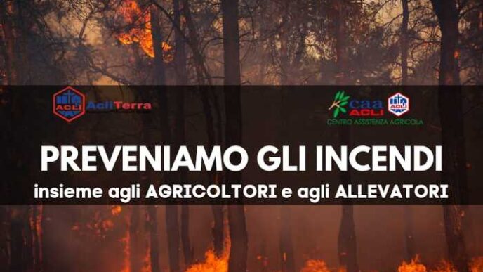 Incendi In Italia3A Analisi Dei
