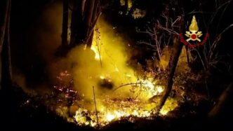 Incendio Boschivo Devasta Le P