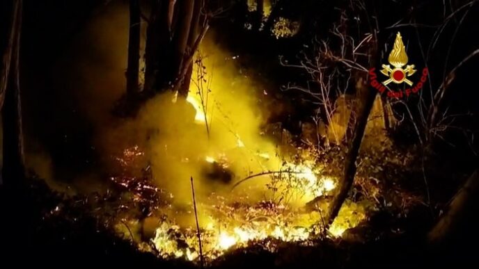 Incendio Boschivo Devasta Le P