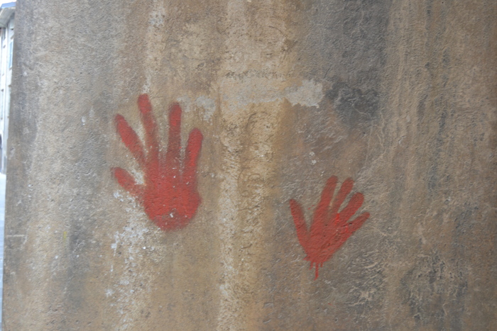Indagini Su Violenza Sessuale