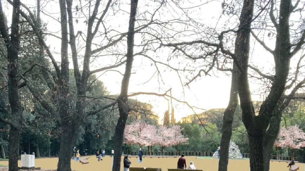 Iniziati I Lavori Di Riqualifi