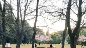 Iniziati I Lavori Di Riqualifi