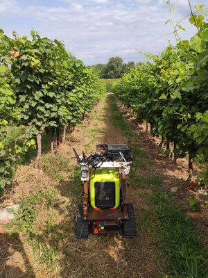 Innovazione Tecnologica In Agr