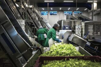 L27Importanza Della Marca Del D
